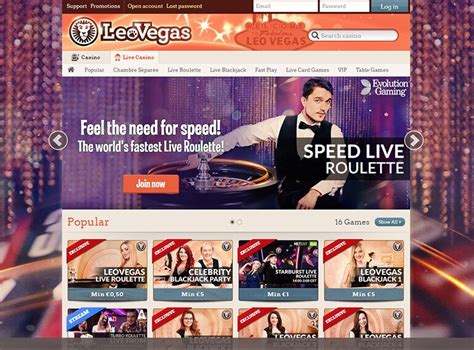 casino dk|leovegas casino dk.